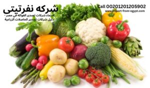 vegetables an fruits exporter