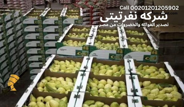 صورة توضح تصدير الفواكه والخضروات من مصر