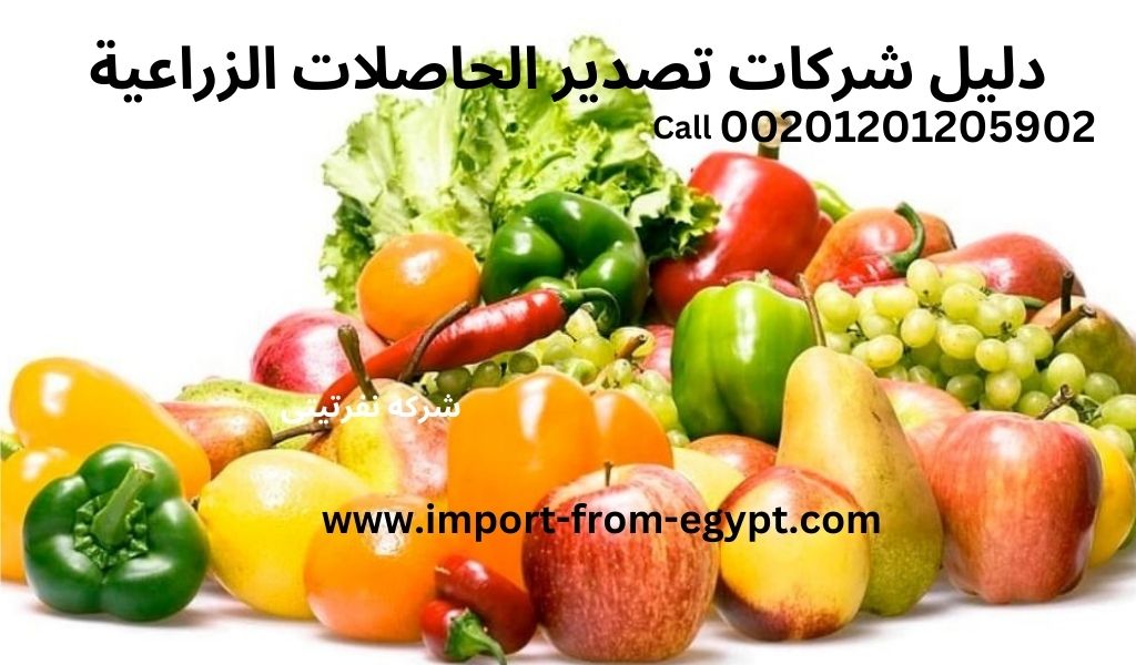 دليل شركات تصدير الحاصلات الزراعية في مصر | 2023
