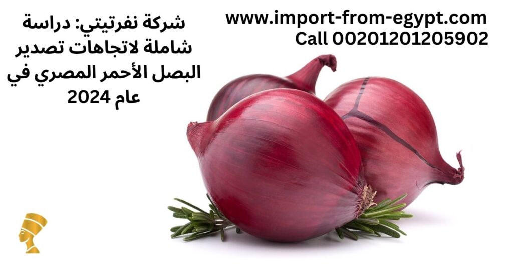 شركة نفرتيتي: دراسة شاملة لاتجاهات تصدير البصل الأحمر المصري في عام 2024