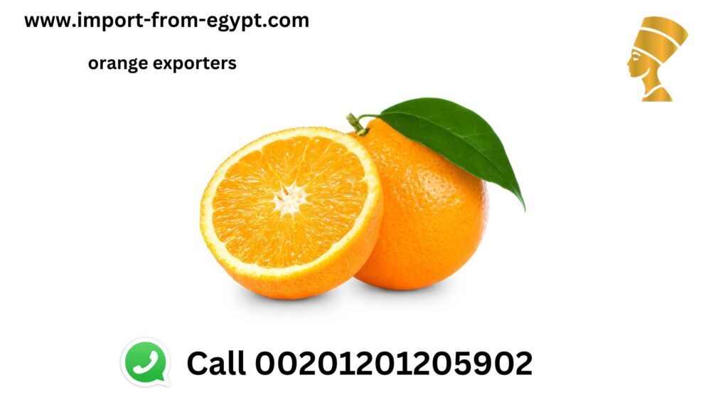 orange exporters
