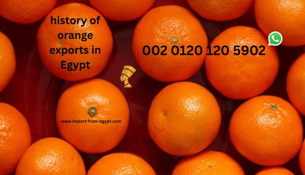 history of orange exports in Egypt