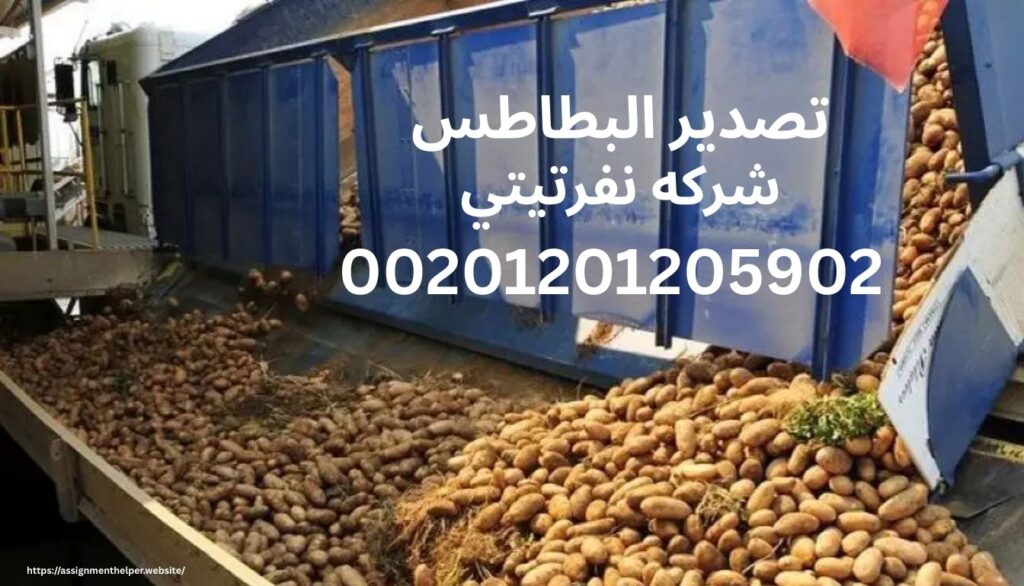 تصدير البطاطس