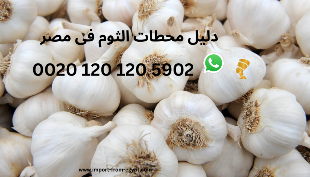 دليل محطات الثوم في مصر