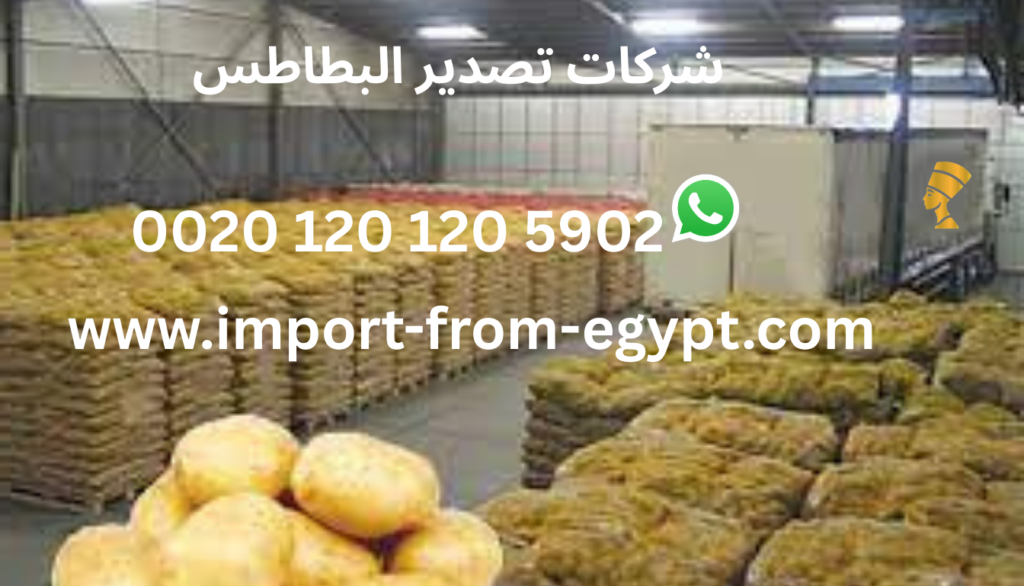 شركات تصدير البطاطس
