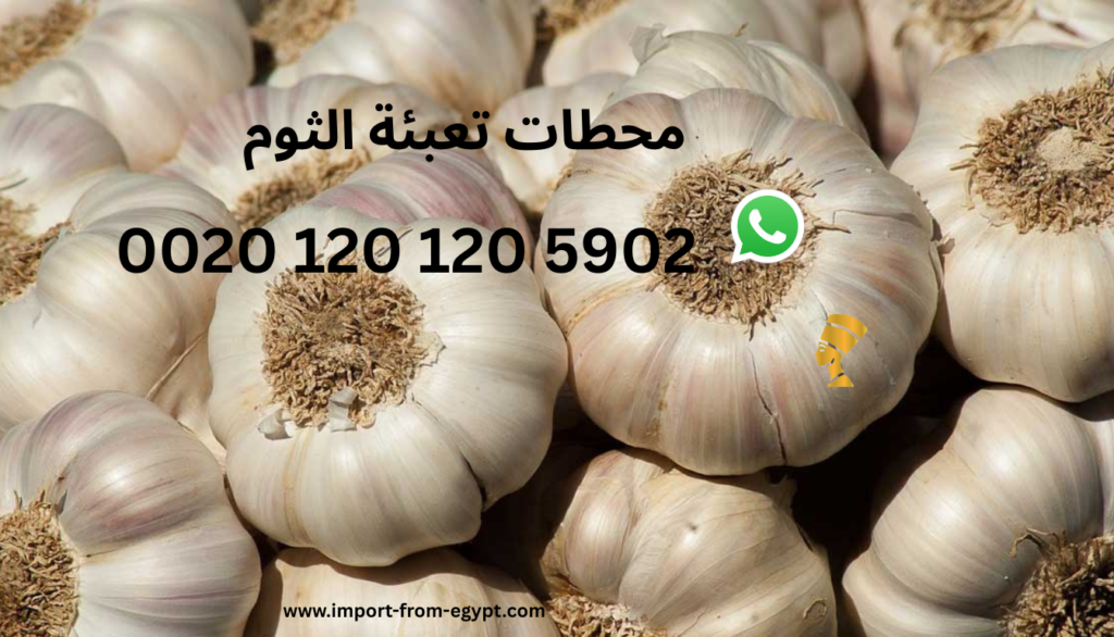 محطات تعبئة الثوم