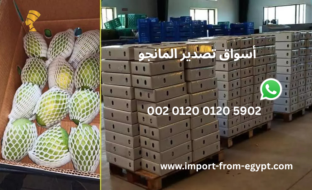 أسواق تصدير المانجو