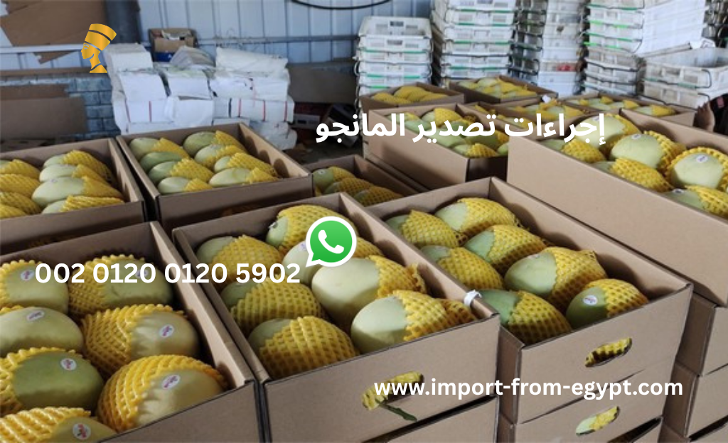 إجراءات تصدير المانجو