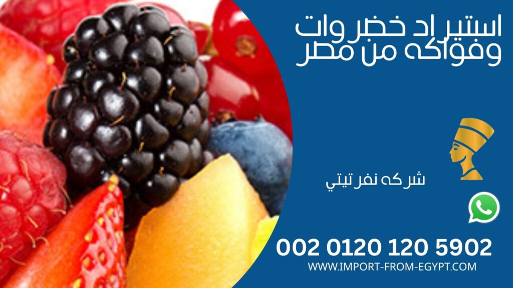 استيراد خضروات وفواكه من مصر