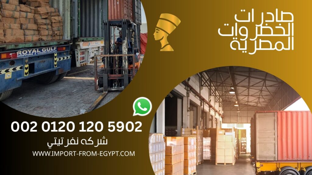 صادرات الخضروات المصرية
