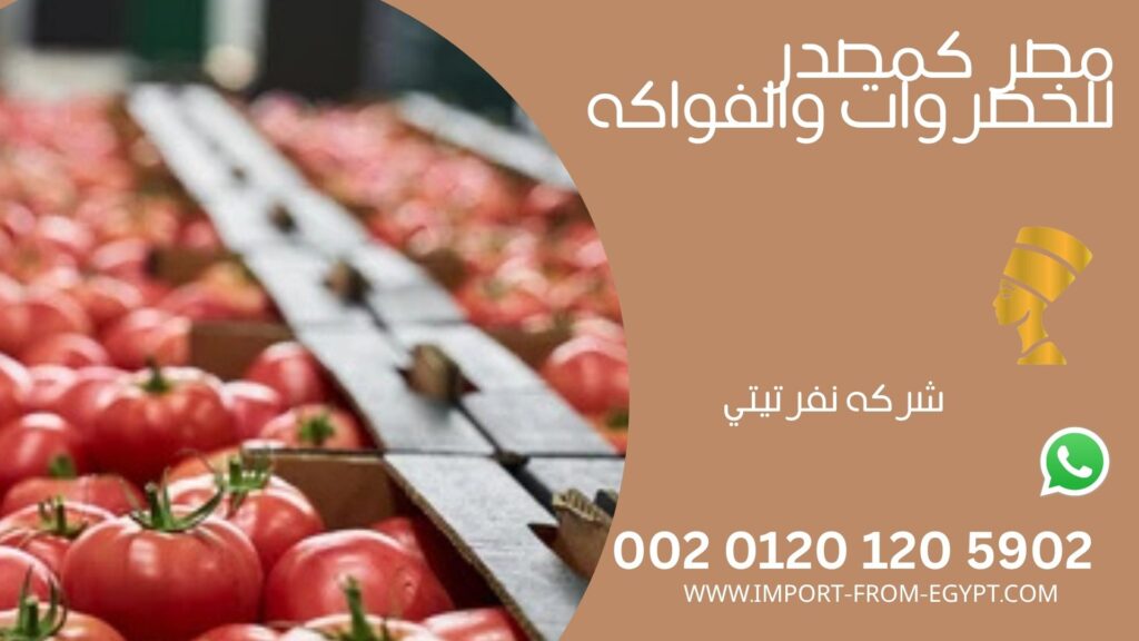 مصر كمصدر للخضروات والفواكه