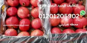 محطات تصدير رمان 4 التغليف المبرد الرمان طازج
