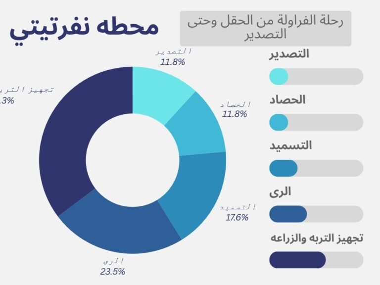 رحلة الفراولة من الحقل وحتى التصدير