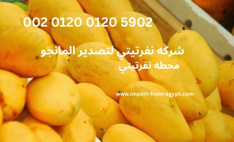 شركه نفرتيتي لتصدير المانجو