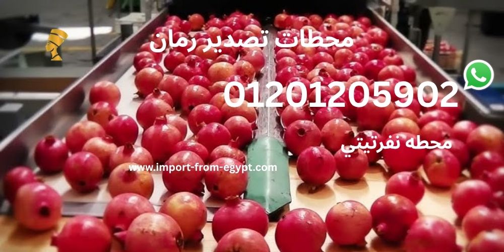 محطات تصدير رمان