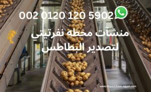 منشآت محطه نفرتيتي لتصدير البطاطس