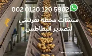 محطه نفرتيتي لتصدير البطاطس 2 منشآت محطه نفرتيتي لتصدير البطاطس