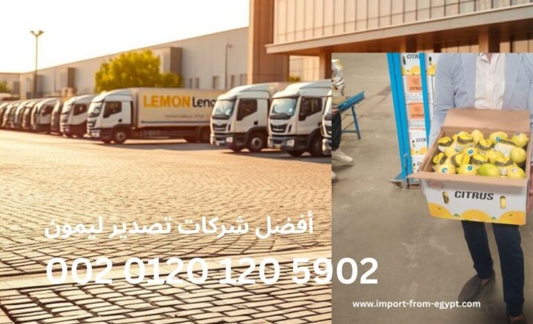 أفضل شركات تصدير ليمون